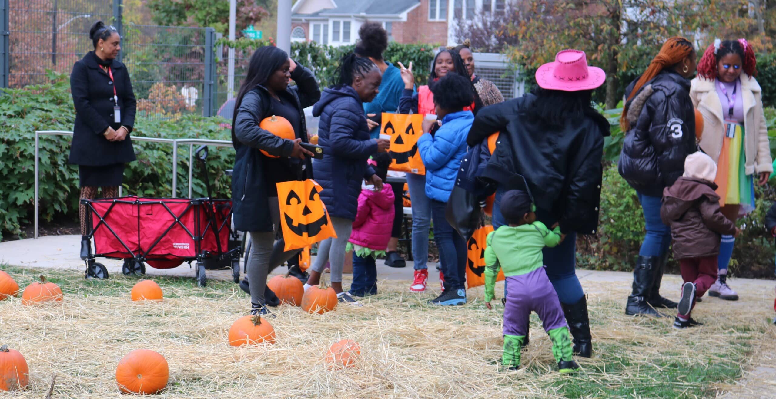 Joyful Pumpkin Patch